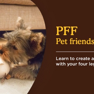 Create a long lasting bond with your pet