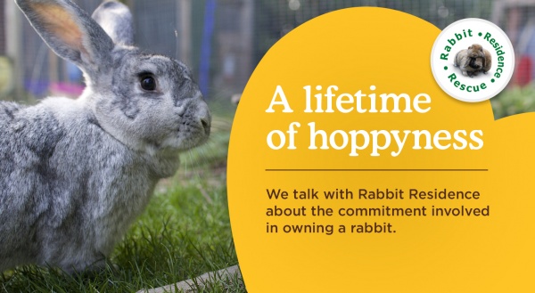 Rabbit Residence calls for greater awareness of responsible ownership 