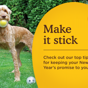 Reach your goals in 2016 with the help of your pet