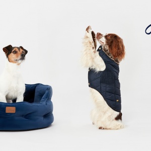 Joules Pet Collection By Rosewood 