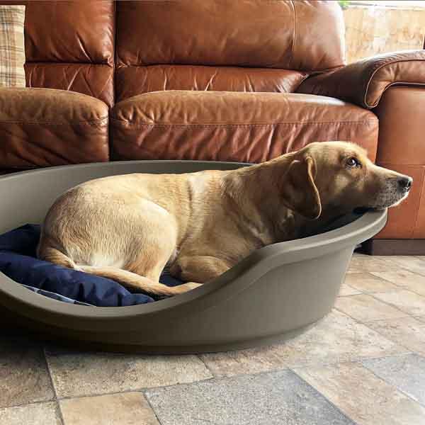 Eco Line Plastic Pet Bed 80 Mushroom Rosewood Pet