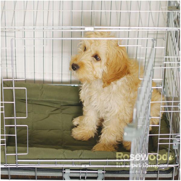 Rosewood 40 winks waterproof dog bed top