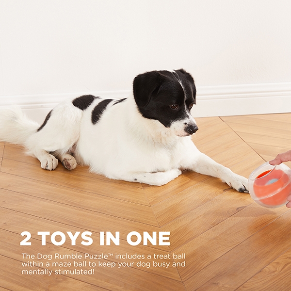 Nina Ottosson Dog Puzzle Toy Interactive Treat Dispenser, Dog Twister -  Modern Pets