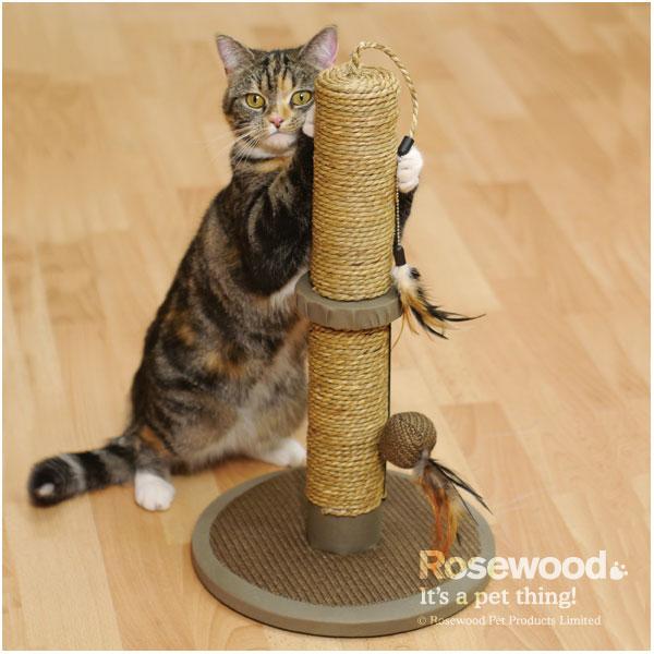 rosewood cat scratcher