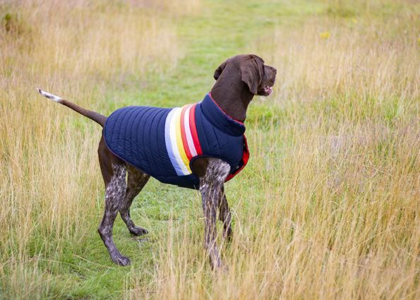 JOULES RAINBOW SNUG COAT SML Rosewood Pet