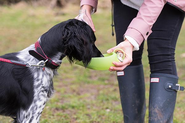 pet travel bottle leaf