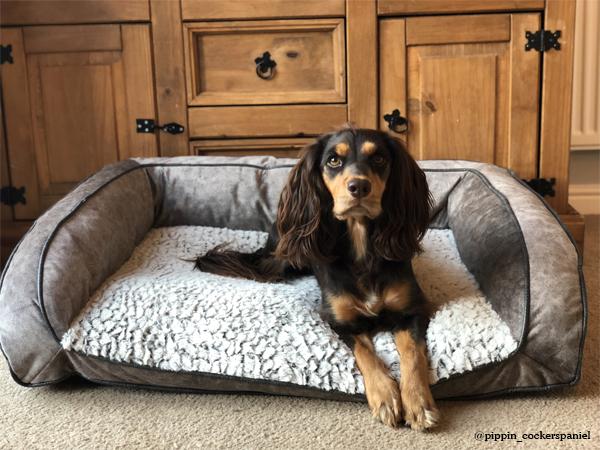 rosewood dog bed large