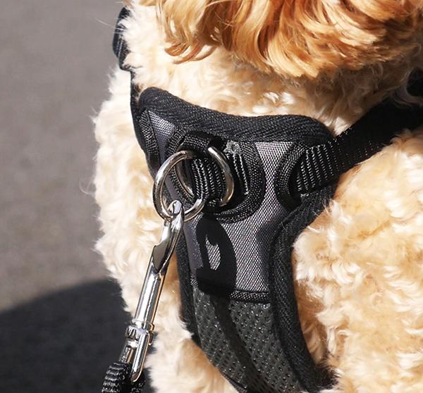 FrontConnect Padded Dog Harness S Rosewood Pet