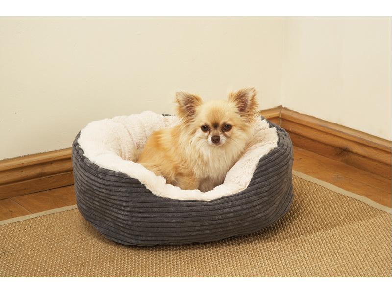 rosewood jumbo cord dog bed