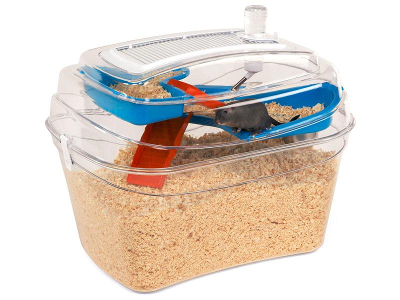 Rosewood abode silver dwarf hamster and shop mouse home