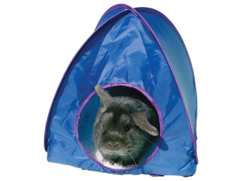 Large Pop-Up Tent 