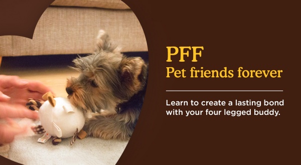 Create a long lasting bond with your pet