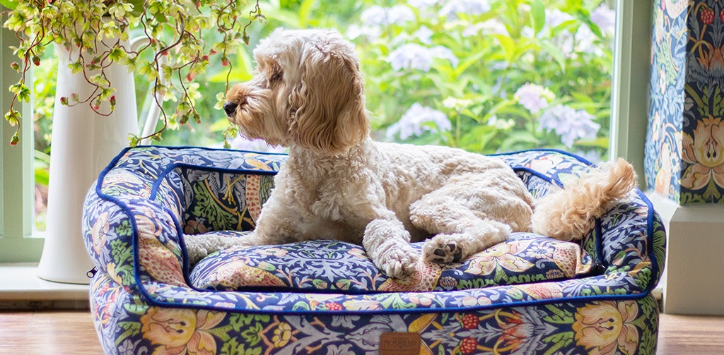 A guide to styling your Morris & Co. Pet bed