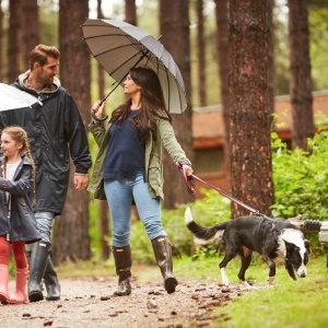 The Best Dog Walking Spots In The UK