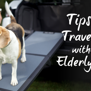 Holidaying without your Elderly Pets